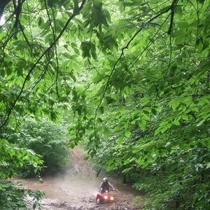 Meet your Posher, Caden